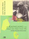 Os Kaingang do vale do rio Ivaí-Pr: histórias e relações interculturais